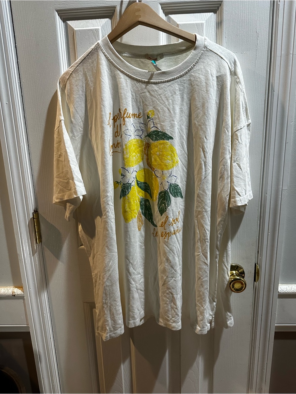 NWT Marine Layer Oversized Hemp Graphic Tee Lemons Stitch Fix - Picture 2 of 8